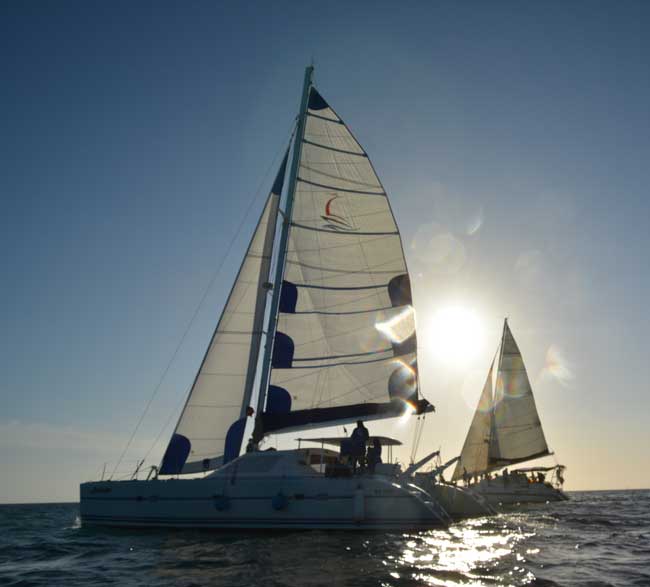 Custom Catamaran Excursions